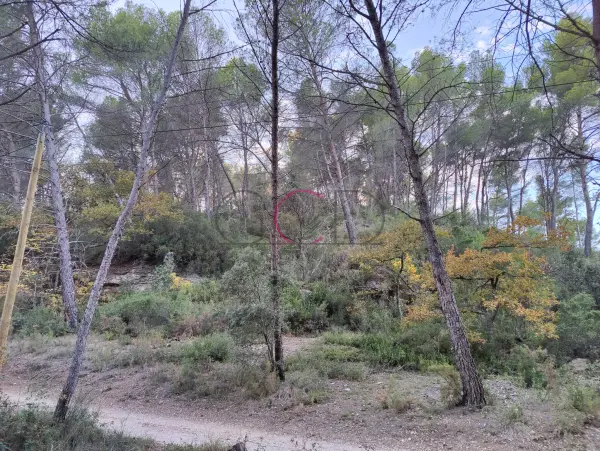 Velaux 13880 – Vente terrain