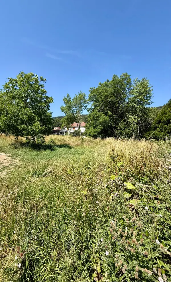 Ochiaz 01200 – Vente terrain