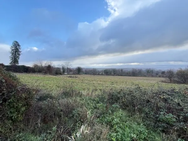 Farges 01550 – Vente terrain