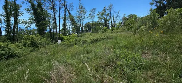Marlioz 74270 – Vente terrain