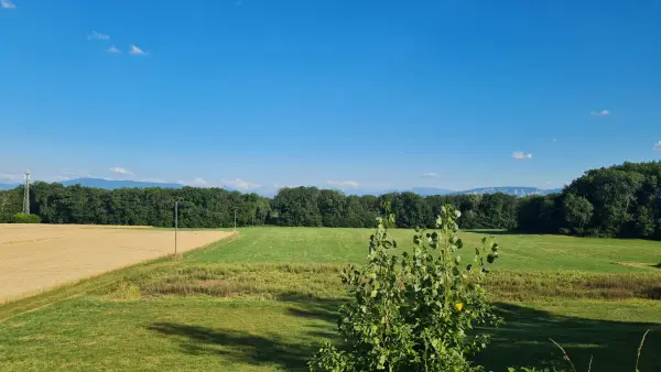 Cessy 01170 – Vente terrain