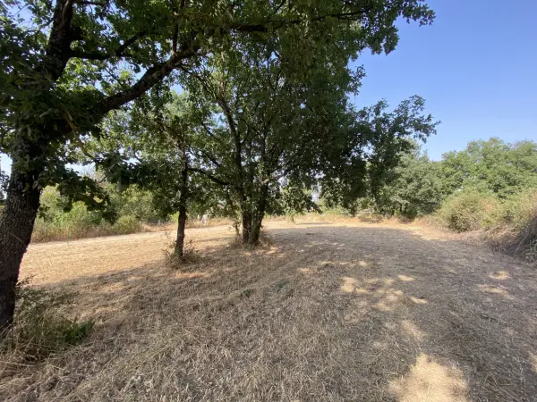 Larra 31330 – Vente terrain