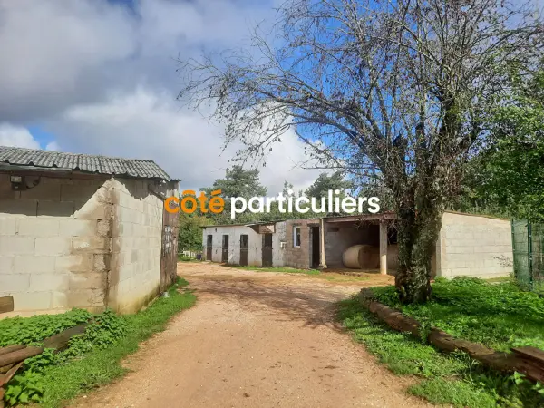 SAMPANS 39100 – Vente terrain