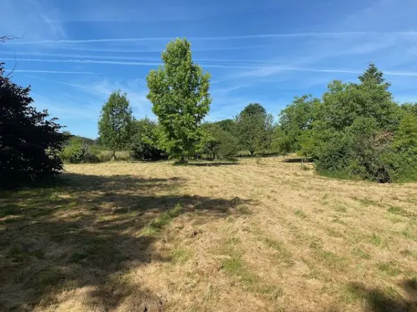 Bourg-le-Comte 71110 – Vente terrain