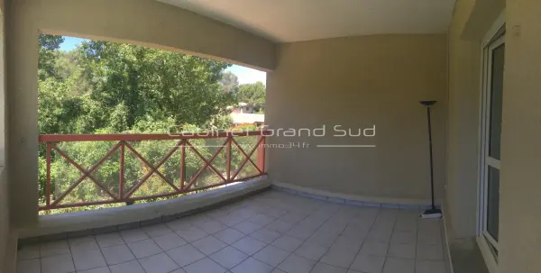 Saint-Gély-du-Fesc 34980 – Location appartement 3&nbsp;pièces 2&nbsp;chambres
