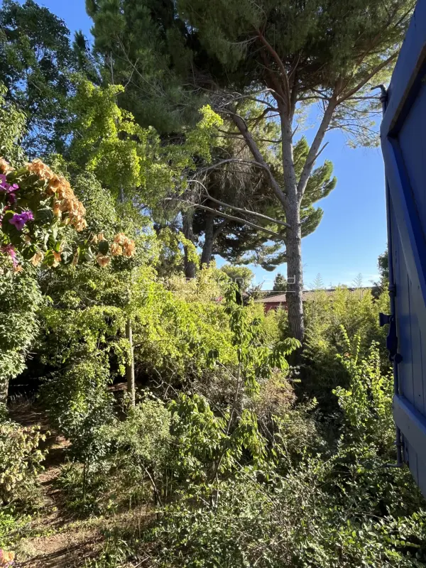 Mauguio 34130 – Vente terrain