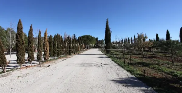Mudaison 34130 – Vente terrain