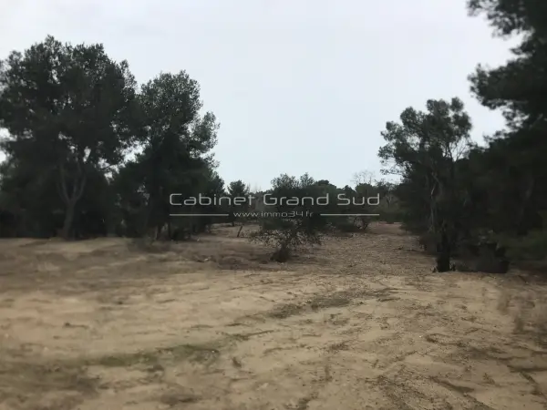 Mauguio 34130 – Vente terrain