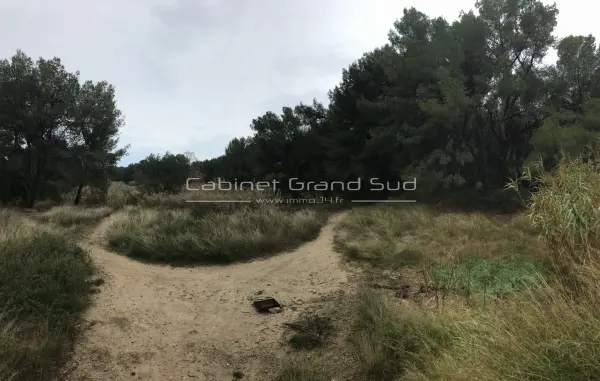 Mauguio 34130 – Vente terrain