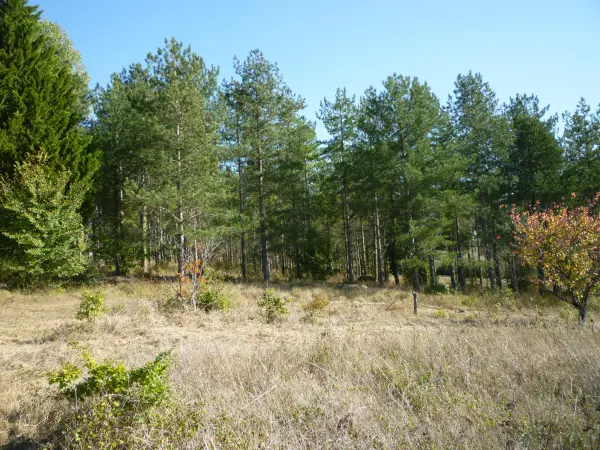 Bourlens 47370 – Vente terrain