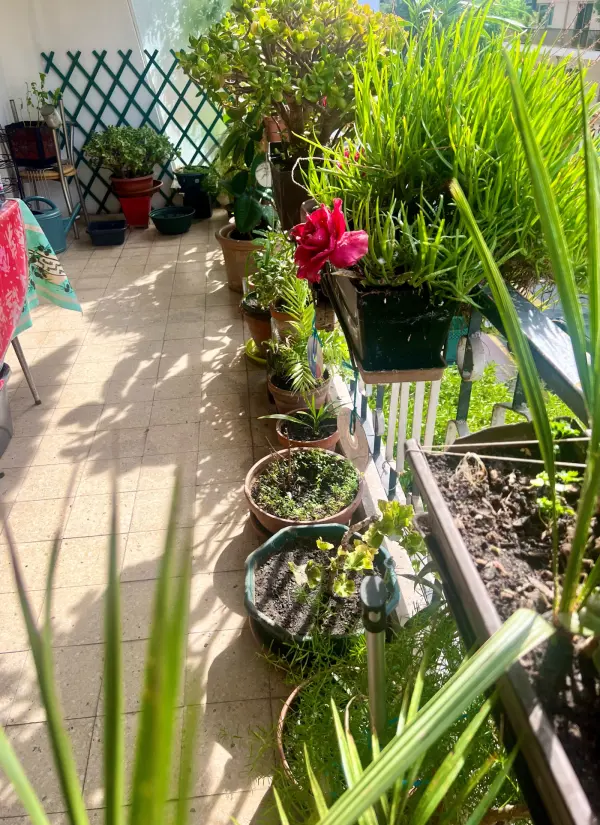 Le Cannet 06110 – Vente appartement 4&nbsp;pièces 3&nbsp;chambres