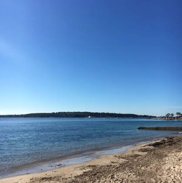 Cannes 06400 – Vente maison/villa 4&nbsp;pièces 3&nbsp;chambres