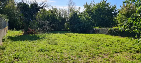 Saint-Savinien 17350 – Vente terrain