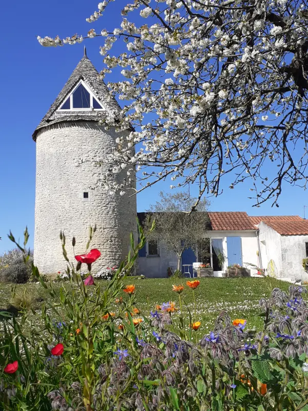 Pont-l&rsquo;Abbé-d&rsquo;Arnoult 17250 – Vente maison/villa 5&nbsp;pièces 2&nbsp;chambres