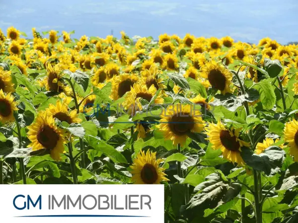 Bénesse-Maremne 40230 – Vente terrain