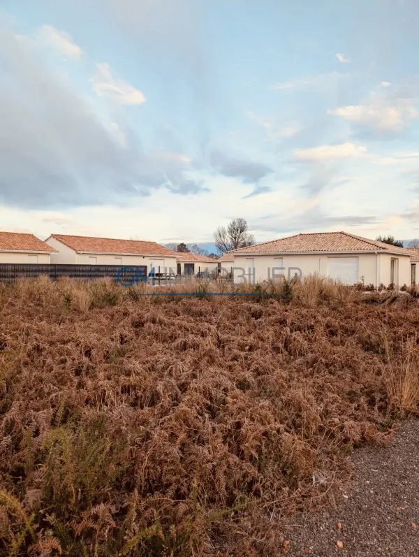 Mimizan 40200 – Vente terrain