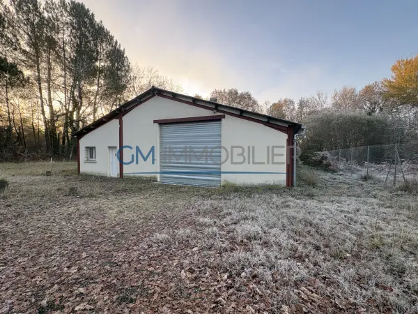 Labrit 40420 – Vente local