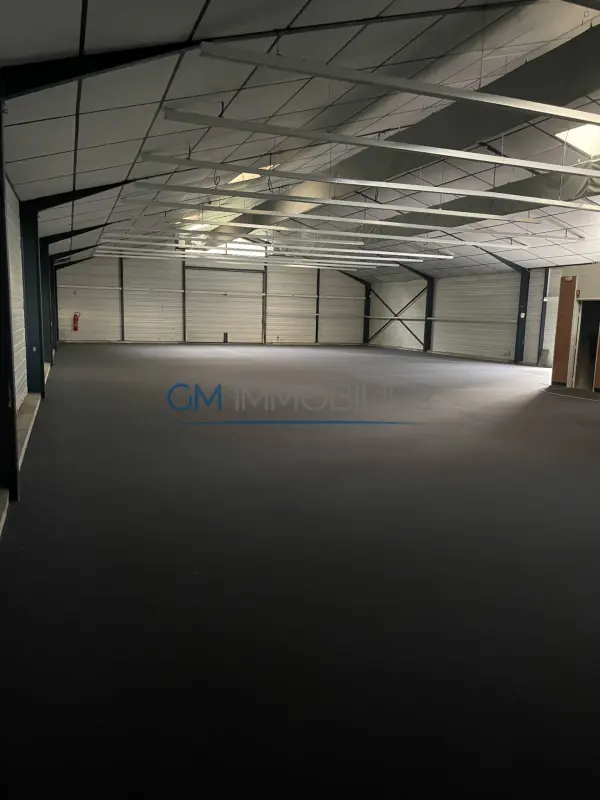 Mont-de-Marsan 40000 – Location local