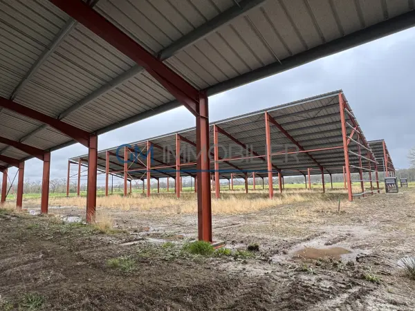 Bonnut 64300 – Vente local