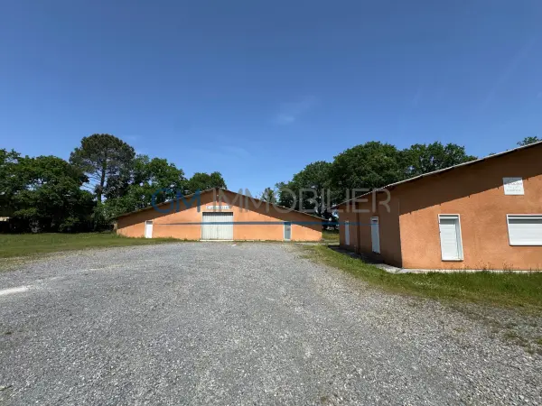 Herm 40990 – Location local