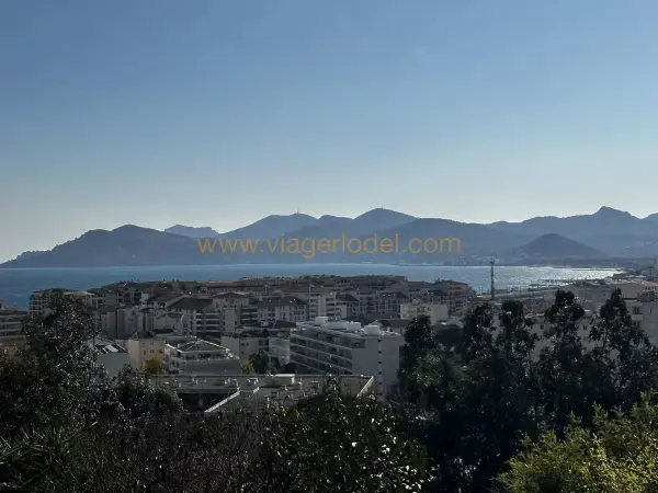 Cannes 06400 – Viager Appartement 3&nbsp;pièces 2&nbsp;chambres