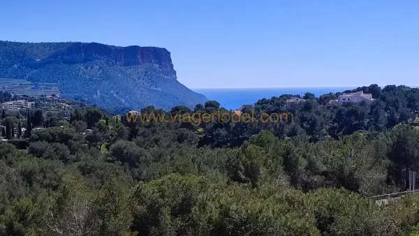 Cassis 13260 – Viager Maison/Villa 8&nbsp;pièces 7&nbsp;chambres