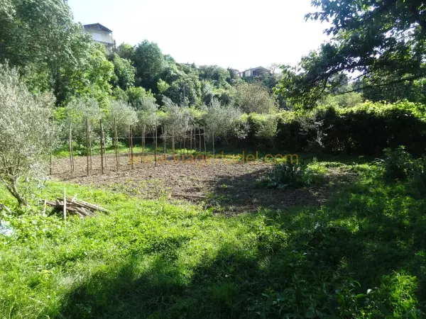 Les Aires 34600 – Viager Maison/Villa 3&nbsp;pièces 2&nbsp;chambres