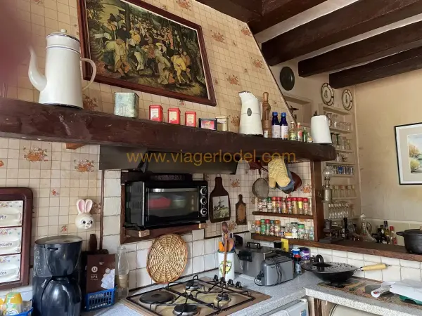 Beaulieu-lès-Loches 37600 – Viager Maison/Villa 5&nbsp;pièces 4&nbsp;chambres