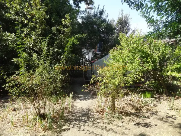 Montpellier 34070 – Viager Maison/Villa 6&nbsp;pièces 4&nbsp;chambres