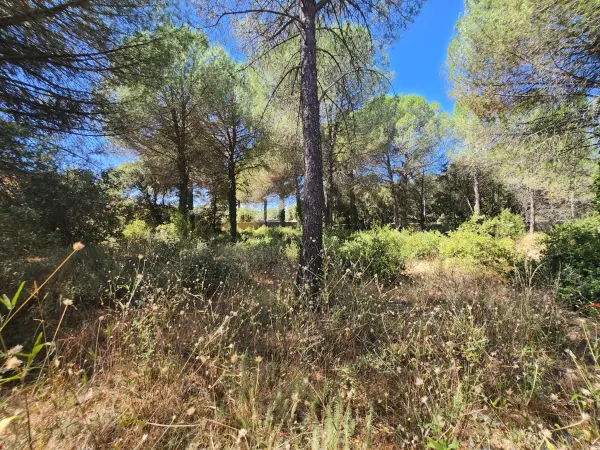 Uzès 30700 – Vente terrain