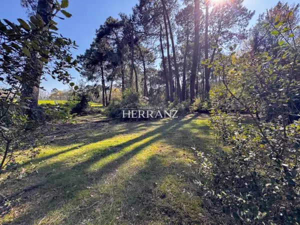 Eysines 33320 – Vente terrain