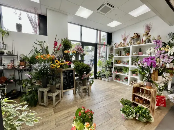 Vaison-la-Romaine 84110 – Vente fonds de commerce boutique