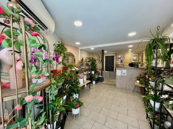 Vaison-la-Romaine 84110 – Vente fonds de commerce boutique