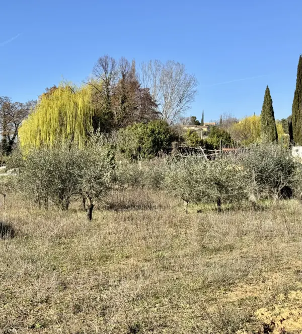 Vaison-la-Romaine 84110 – Vente terrain