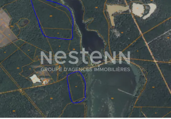 FONTAINES EN SOLOGNE 41250 – Vente terrain