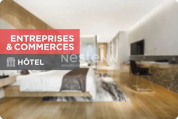 VINEUIL 41350 – Vente fonds de commerce boutique 45&nbsp;chambres