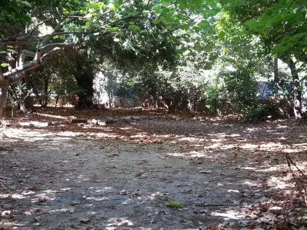 La Seyne-sur-Mer 83500 – Location Appartement 1&nbsp;pièce 1&nbsp;chambre