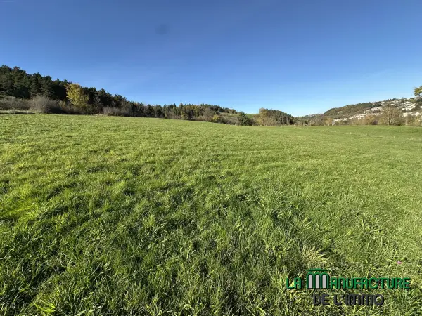 Pont-Salomon 43330 – Vente terrain