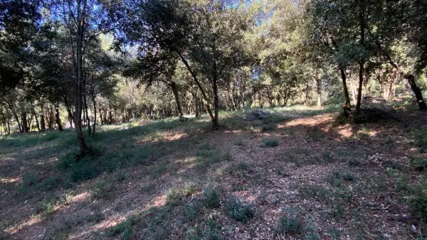 Biot 06410 – Vente terrain