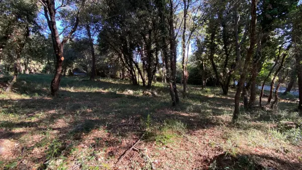 Biot 06410 – Vente terrain