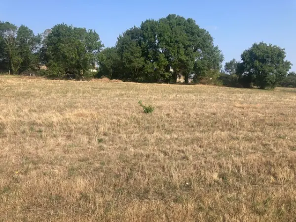 Valeyrac 33340 – Vente terrain