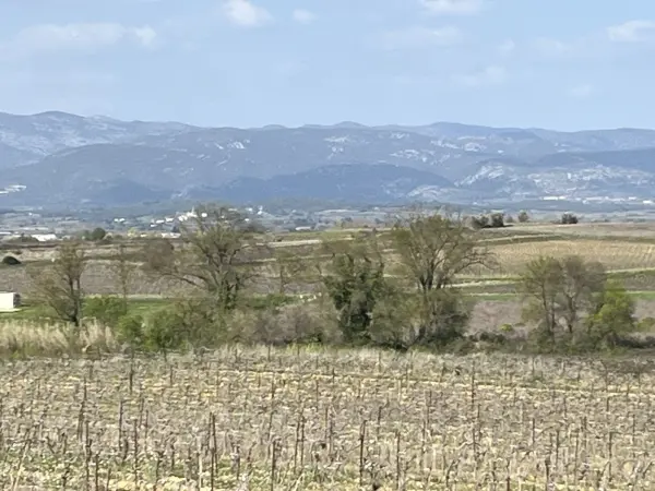 Popian 34230 – Vente terrain
