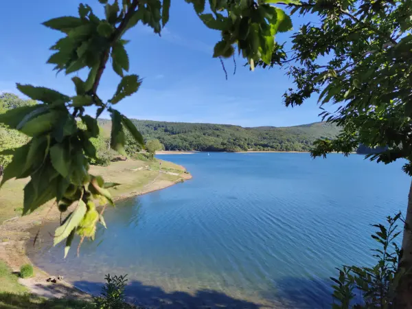 La Salvetat-sur-Agout 34330 – Vente terrain