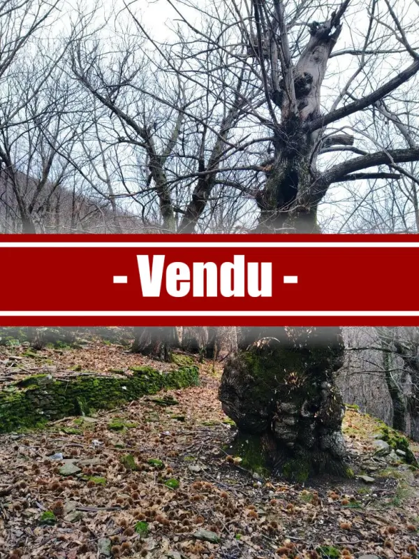 Vans 07140 – Vente terrain