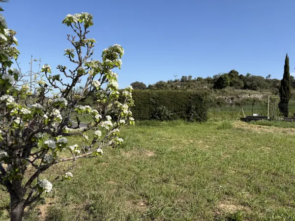 Fouzilhon 34480 – Vente terrain