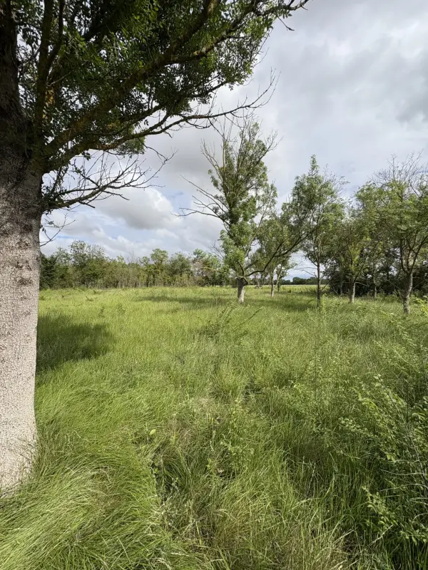 Florensac 34510 – Vente terrain