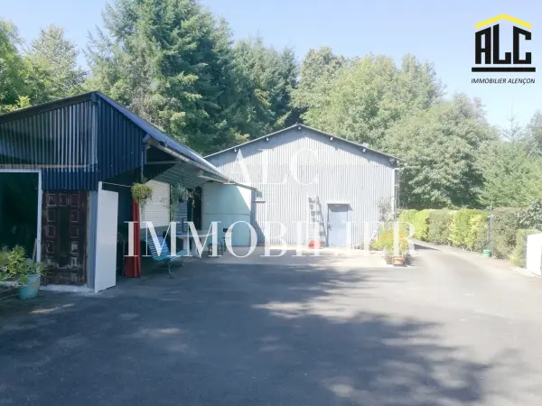 Hambers 53160 – Vente terrain