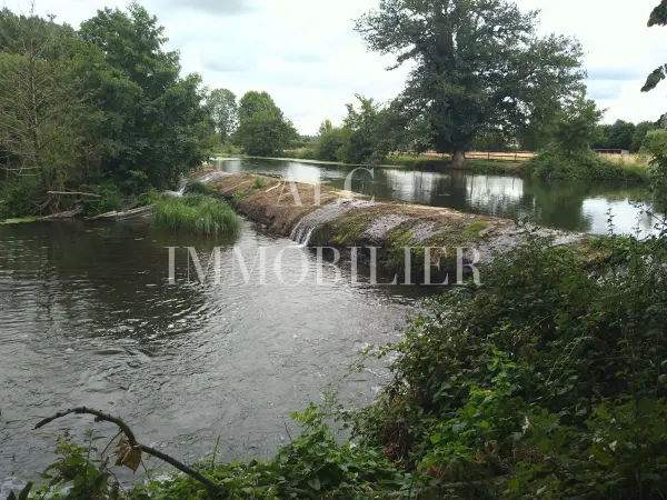 Saint-Aubin-de-Locquenay 72130 – Vente terrain