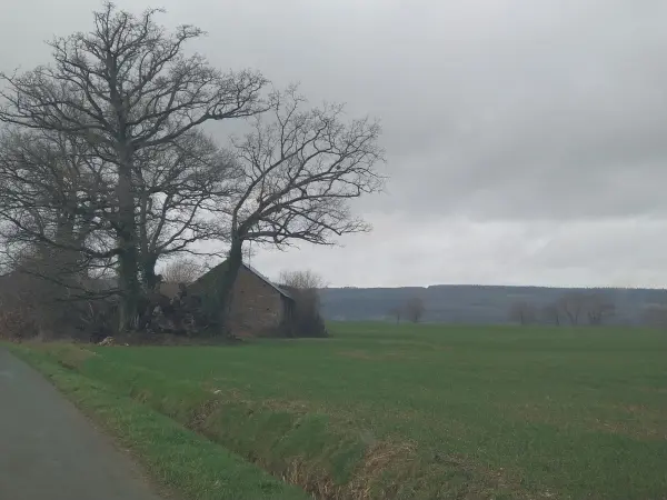 Saint-Pierre-des-Nids 53370 – Vente terrain