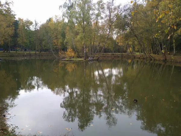 Saint-Léonard-des-Bois 72130 – Vente terrain